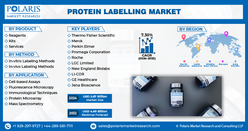Protein Labelling Market Size